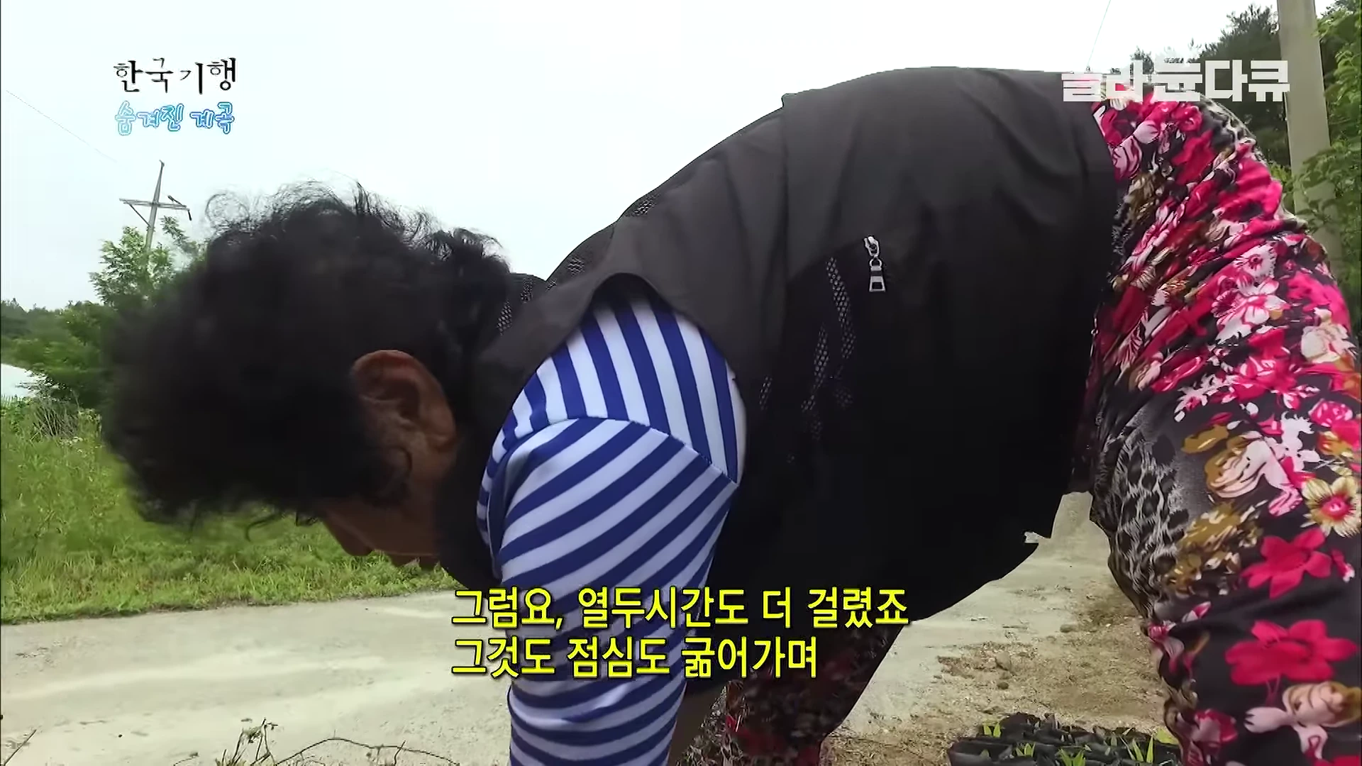 한 여성이 밭에서 허리를 숙이고 꽃 모종을 심고 있는 모습입니다.