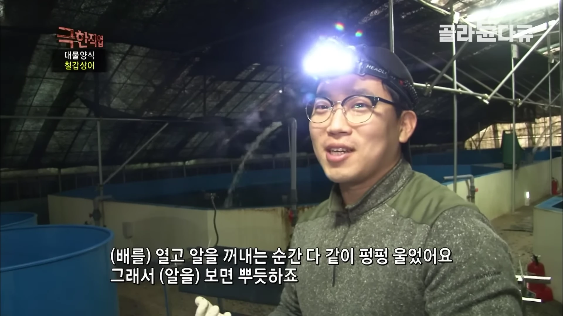 헤드랜턴을 머리에 쓴 안경 낀 남성이 실내 양식장에서 인터뷰하고 있으며 화면 하단에는 방송 자막이 배치되어 있다.