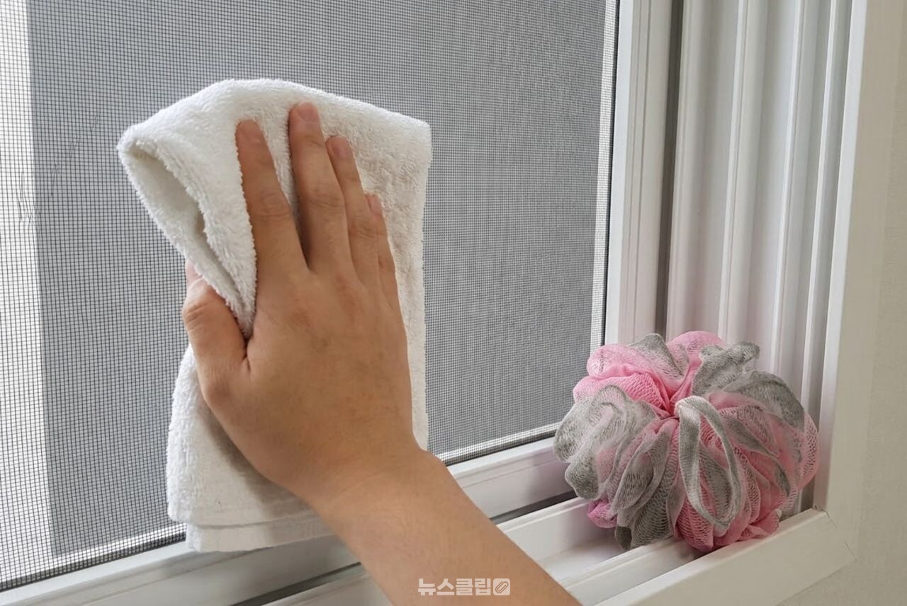 샤워볼로 방충망 먼지 청소 / 기사 이해를 돕기 위한 AI 이미지