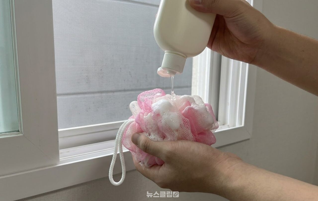 샤워볼로 방충망 먼지 청소 / 기사 이해를 돕기 위한 AI 이미지