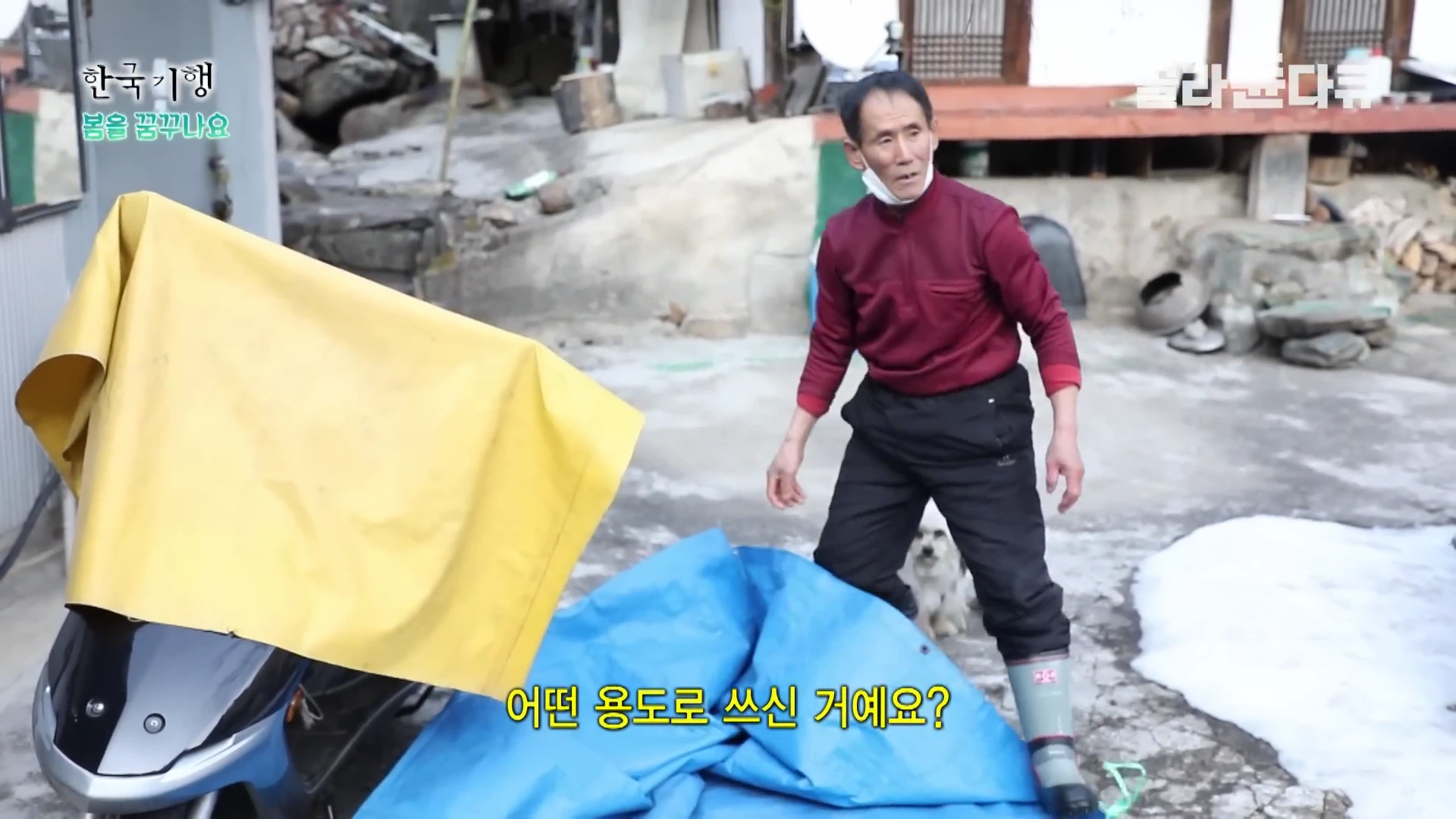 마당에서 붉은 상의와 검은 바지를 입은 중년 남성이 파란색 방수포 위에 서 있고, 옆에 있는 스쿠터는 노란색 덮개로 덮여 있으며 화면 하단에는 노란색 자막이 표시되어 있습니다.