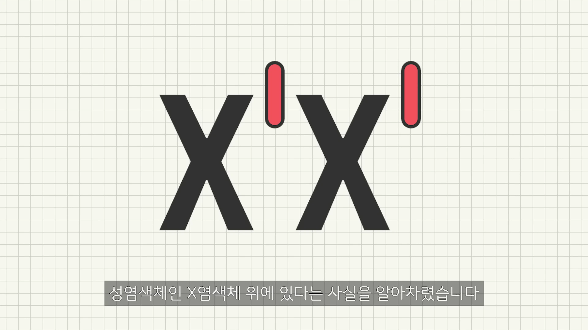 격자 배경 위에 두 개의 X 문자가 나란히 놓여 있고, 각 X 문자 위에는 짧은 붉은색 막대가 하나씩 표시된 그래픽.