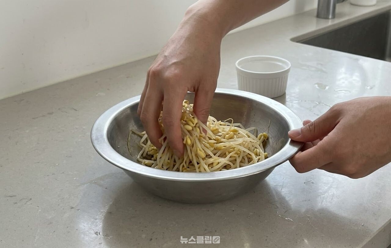 콩나물무침 / 기사 이해를 돕기 위한 AI 이미지