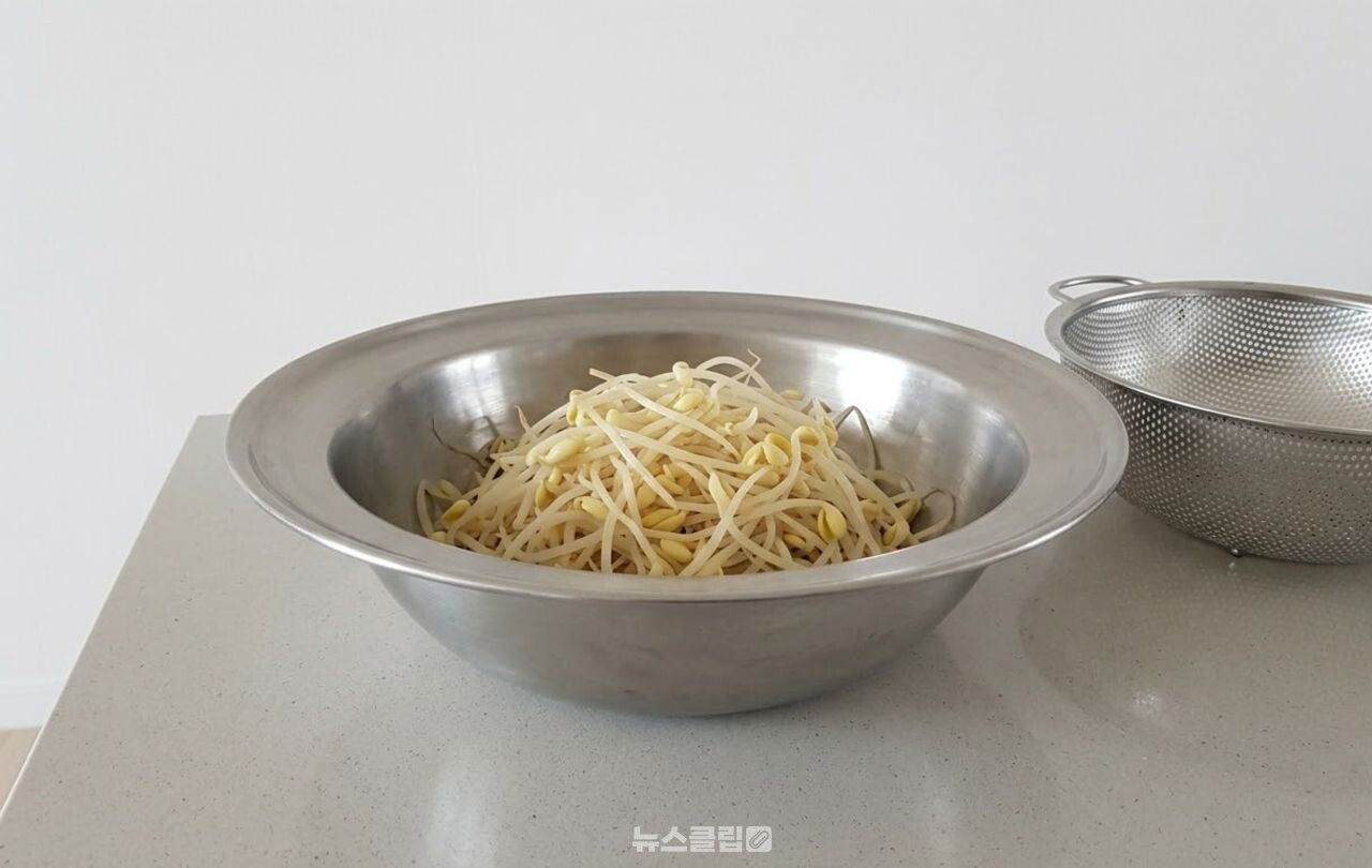 콩나물무침 / 기사 이해를 돕기 위한 AI 이미지