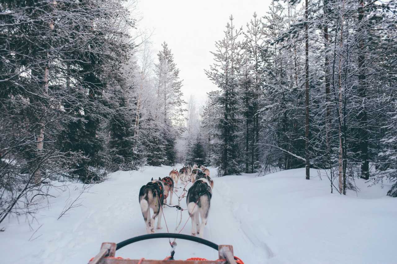 북유럽 크리스마스 여행지 / 사진=unsplash