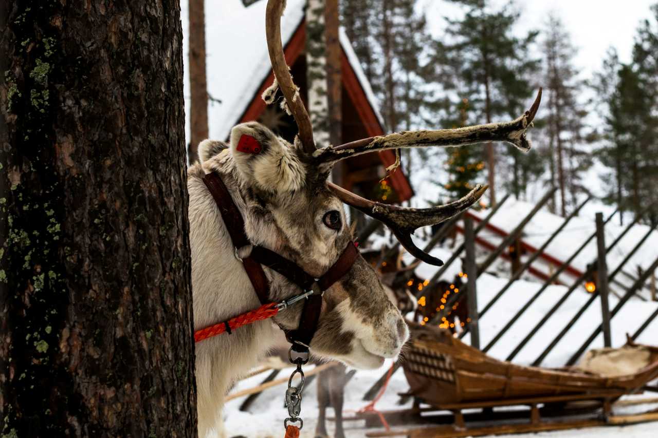 공식 산타마을 / 사진=unsplash