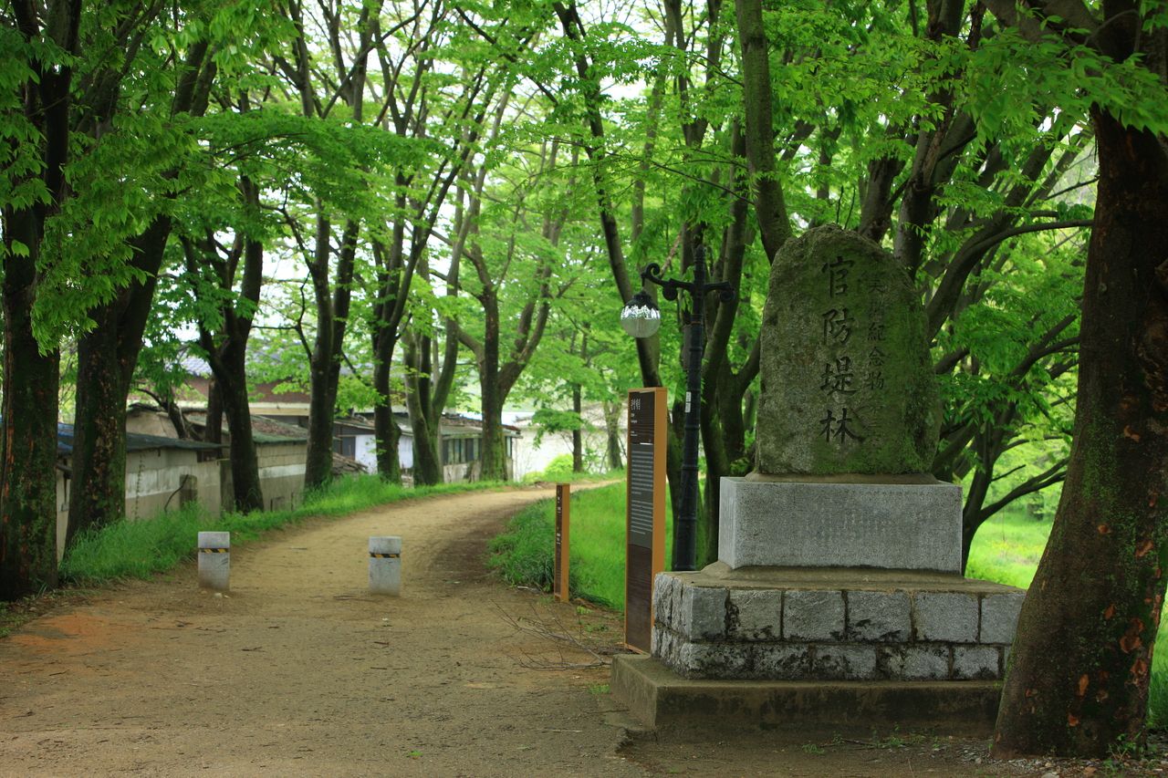 관방제림 / 한국관광콘텐츠랩-김지호