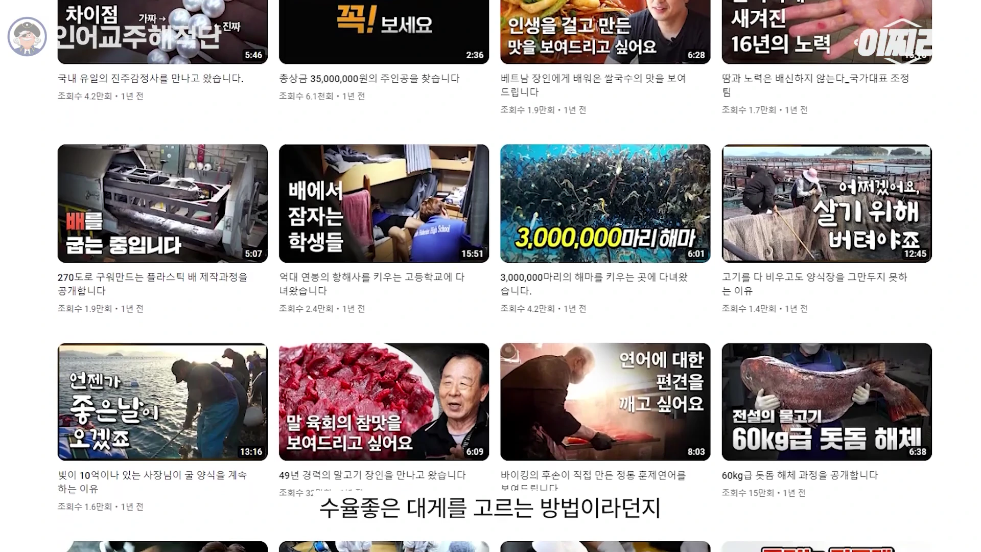 다양한 수산물 및 먹거리 관련 영상 썸네일들이 격자 형태로 나열된 유튜브 채널 화면