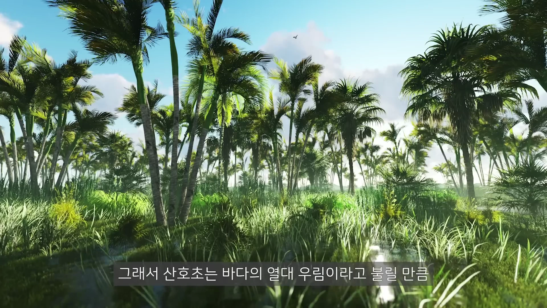 푸른 하늘 아래 빽빽하게 자라난 야자수 숲과 그 아래 무성한 풀들이 있는 열대우림 풍경 영상 갈무리