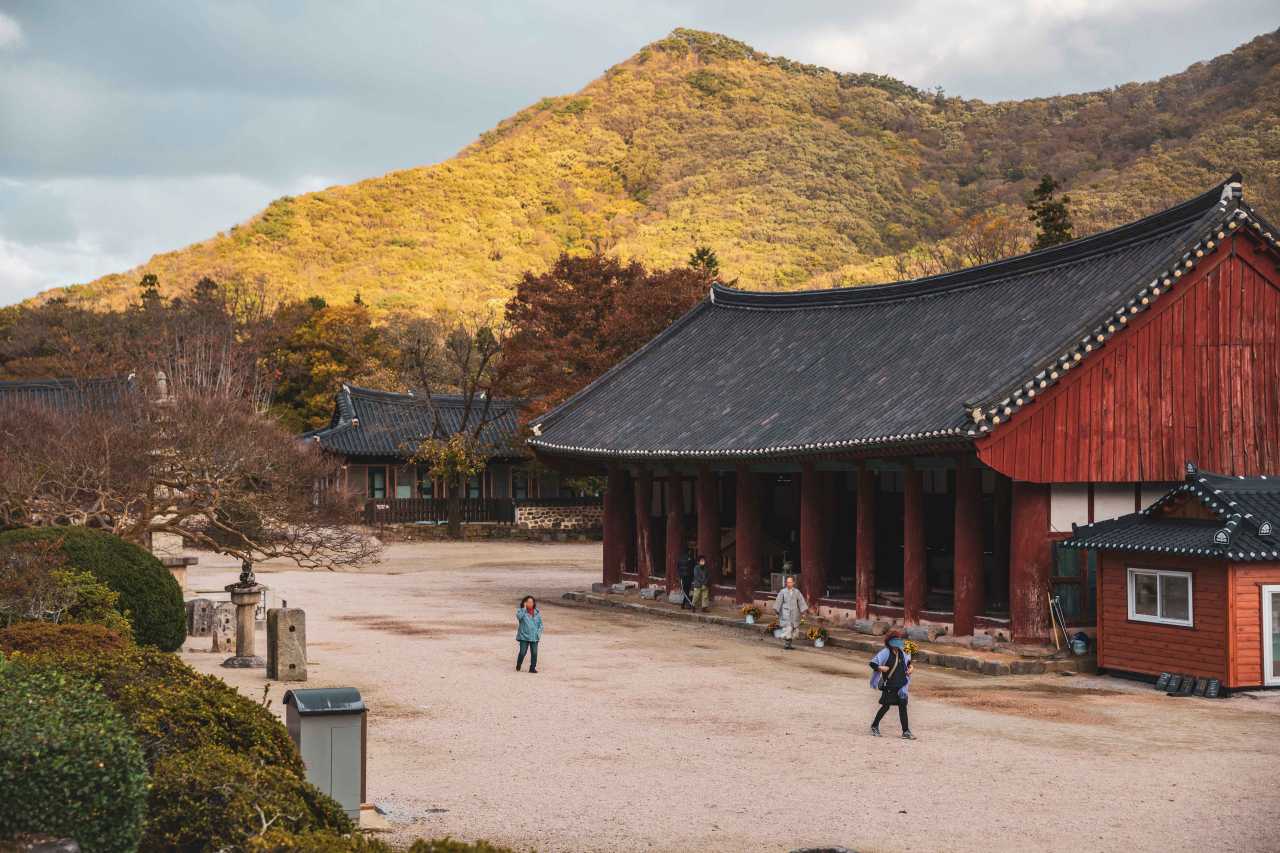 선운사 꽃무릇 시기 / 사진=한국관광공사 포토코리아@박장용