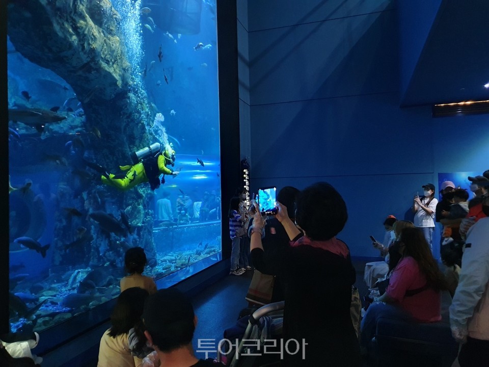 다누리아쿠아리움 /사진-단양군