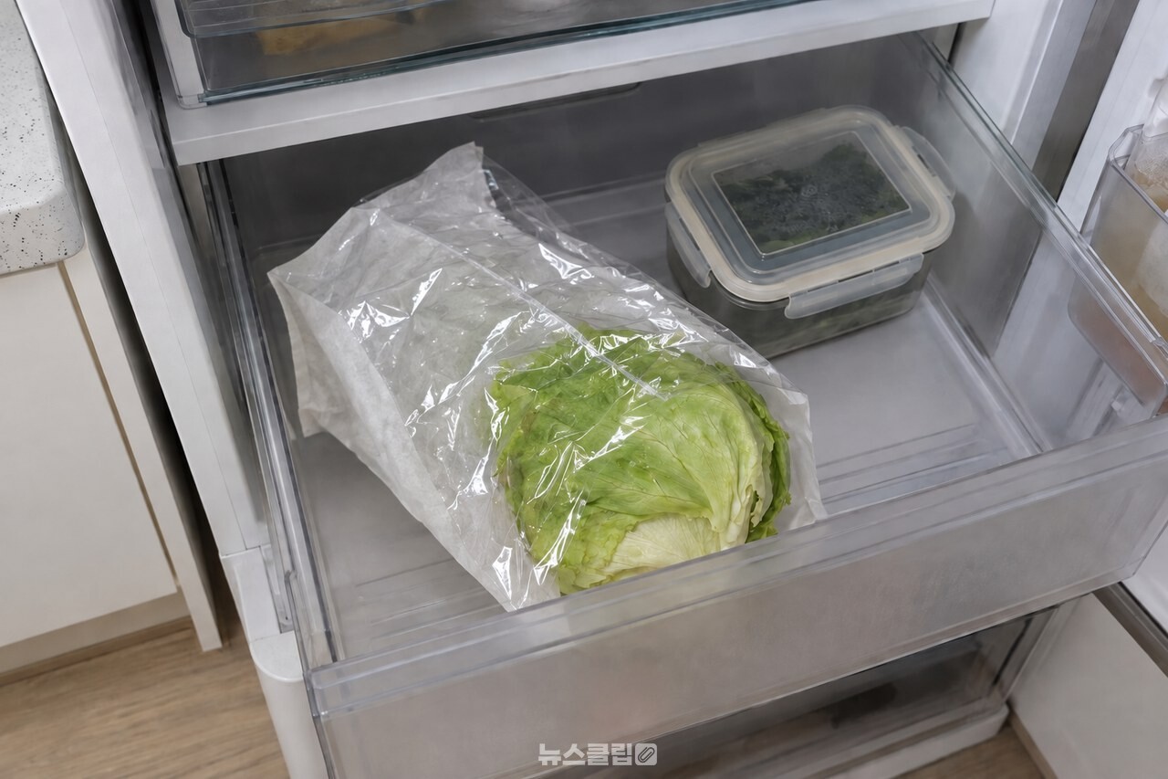 채소 칸에 놓은 양상추 봉투 / 기사 이해를 돕기 위한 생성형 이미지