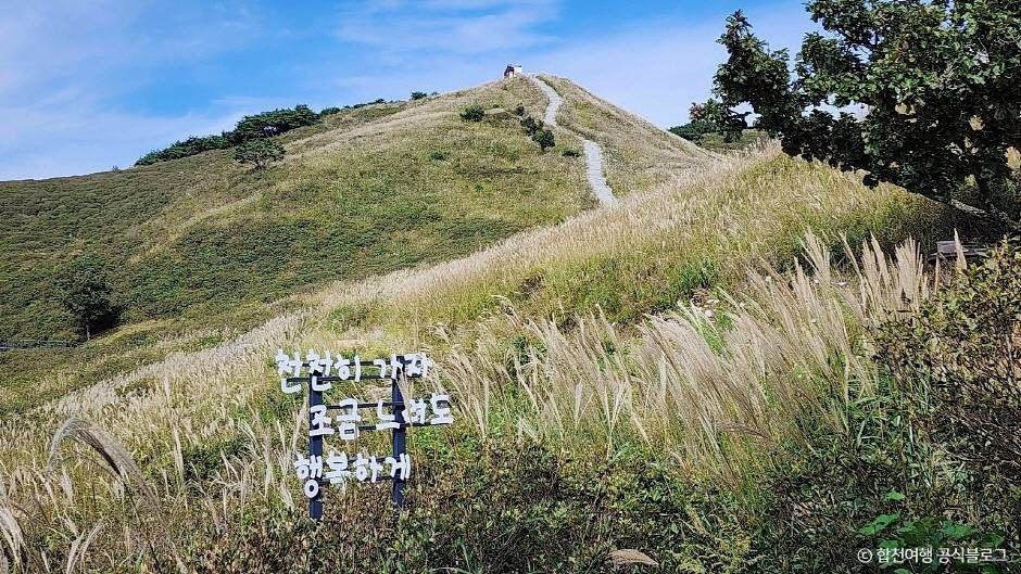 황매산 가을 억새 풍경 / 사진=한국관광공사