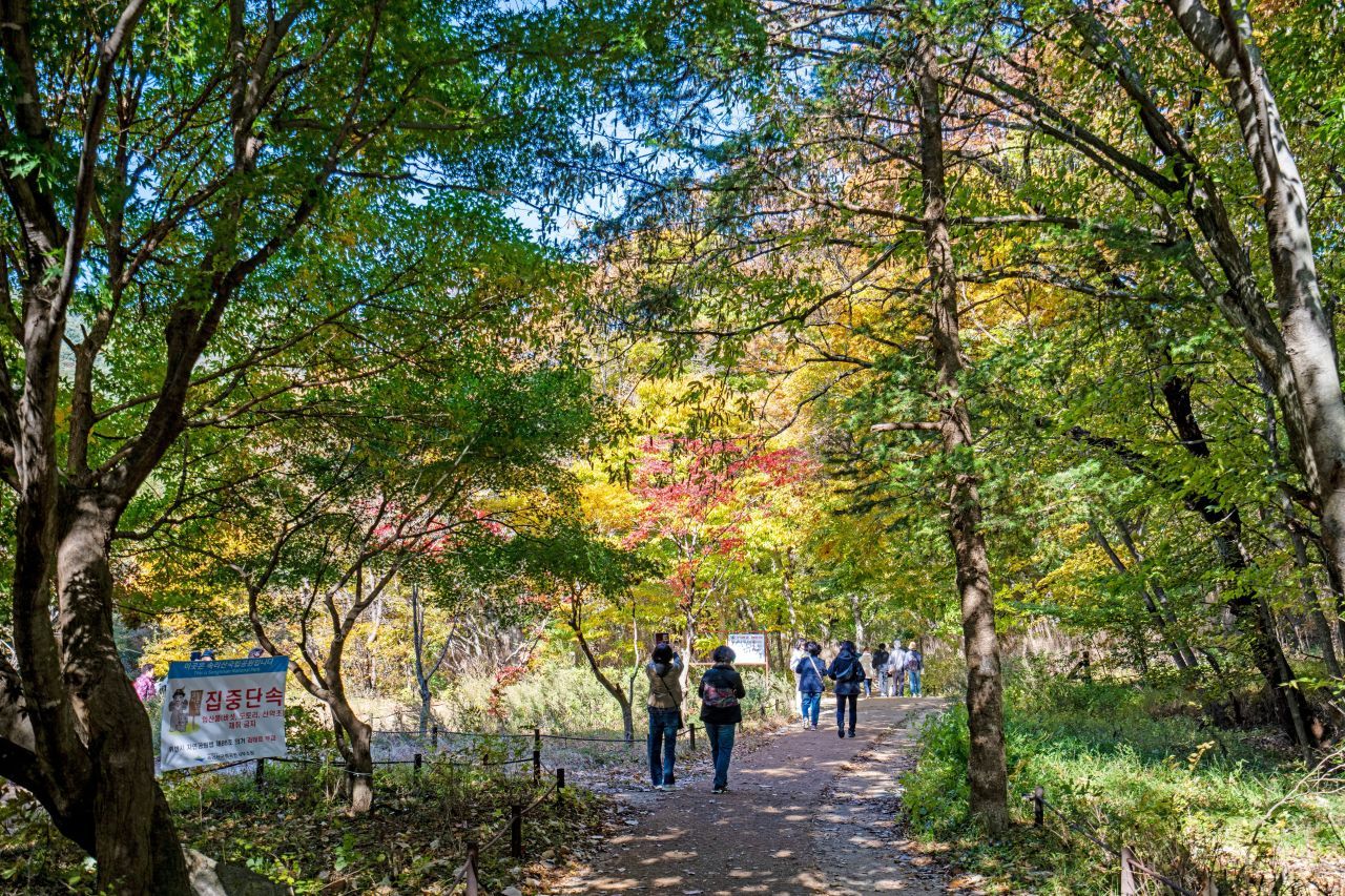 보은 법주사 / 한국관광공사-이범수