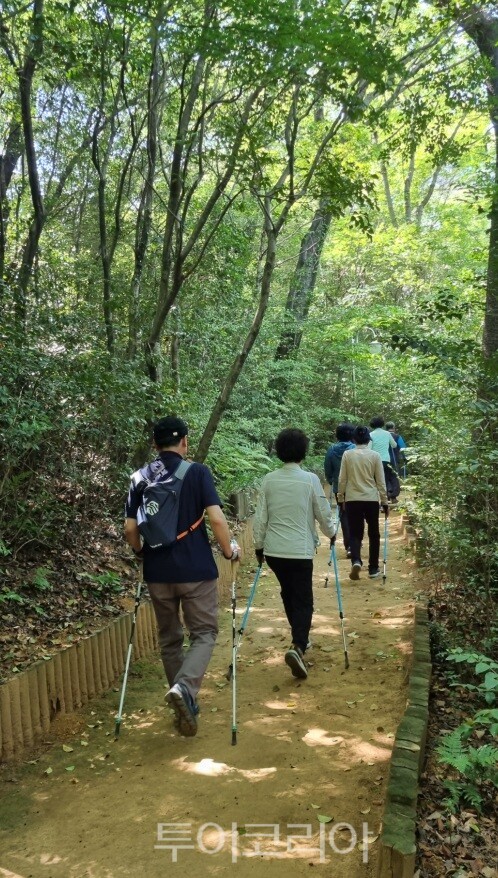 창원 편백치유의 숲/사진-창원시