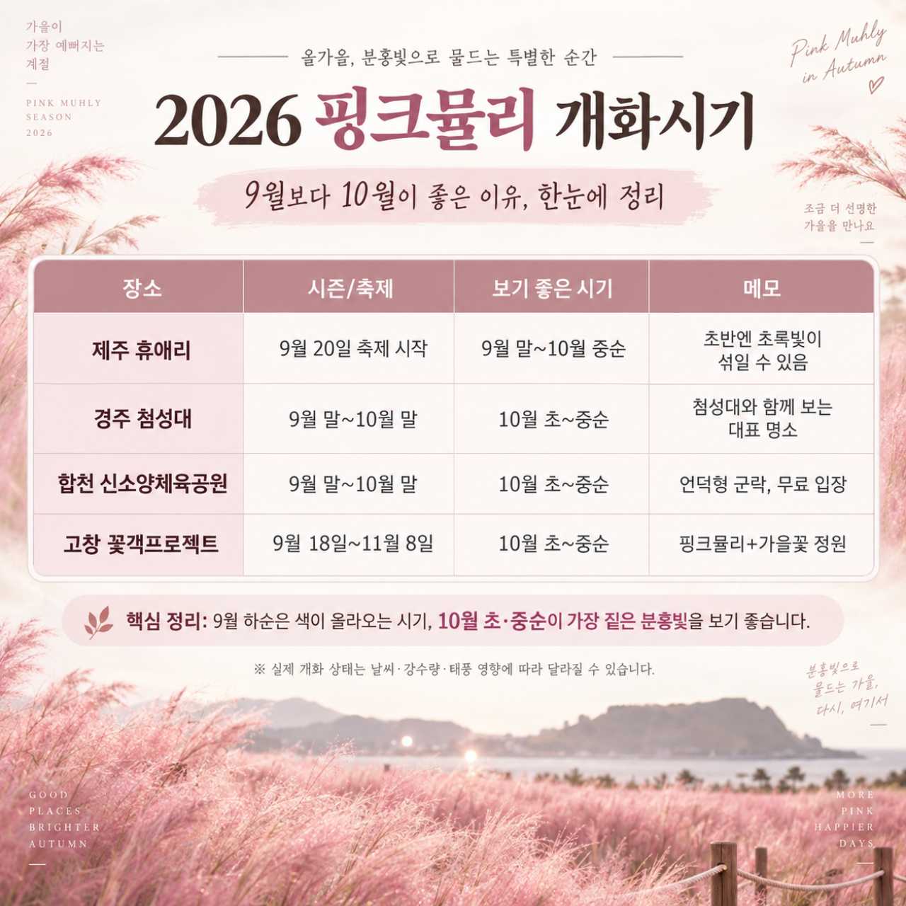 핑크뮬리 개화표