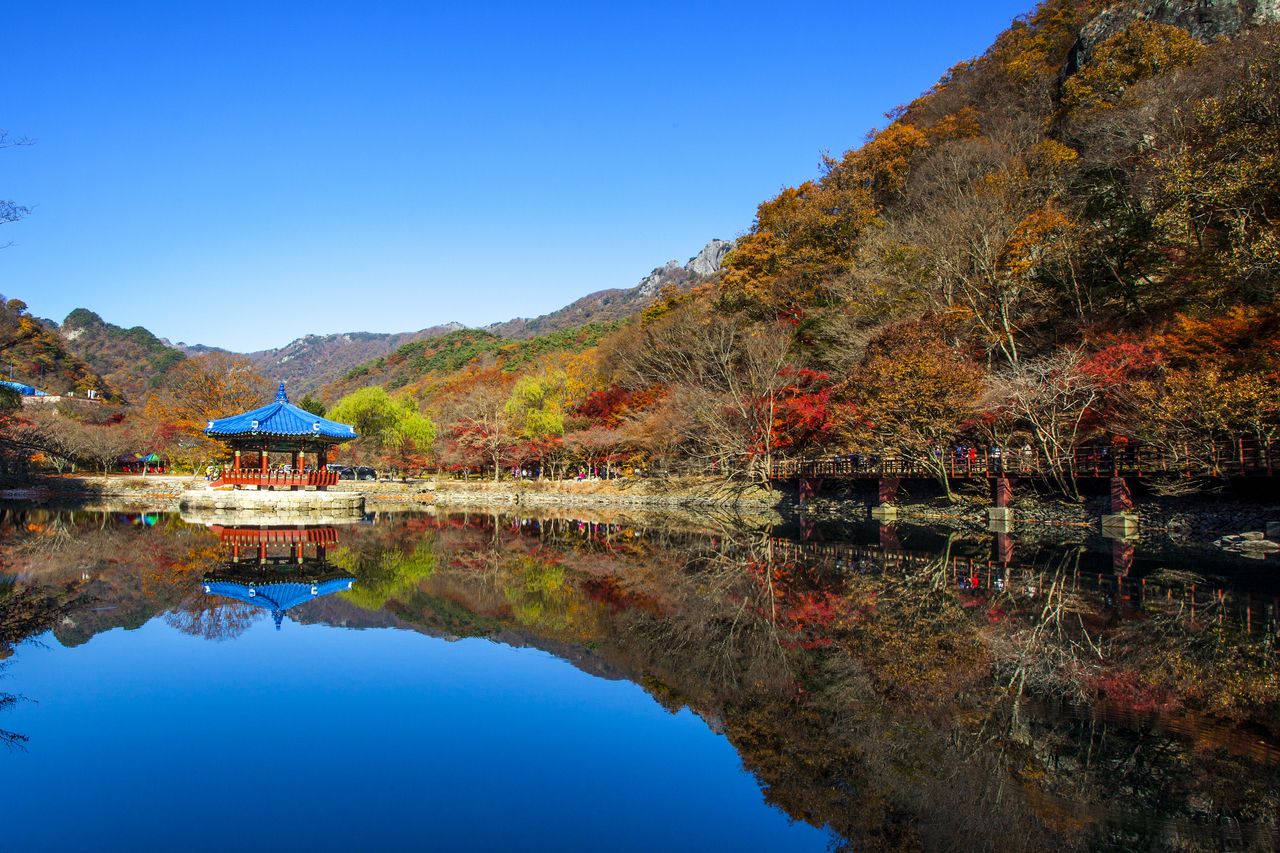 내장산국립공원 / 한국관광공사-IR 스튜디오