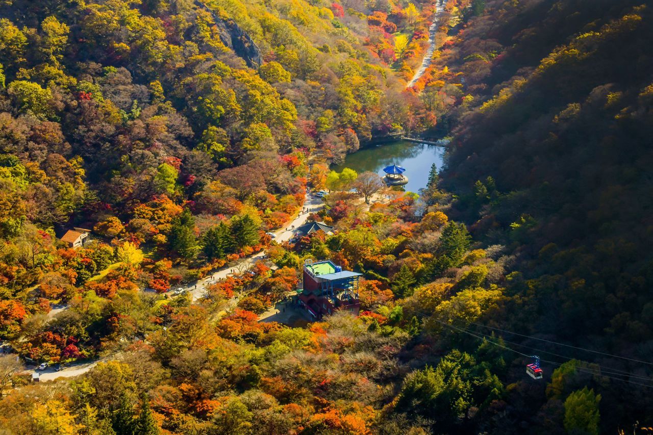 내장산국립공원 / 한국관광공사-두드림