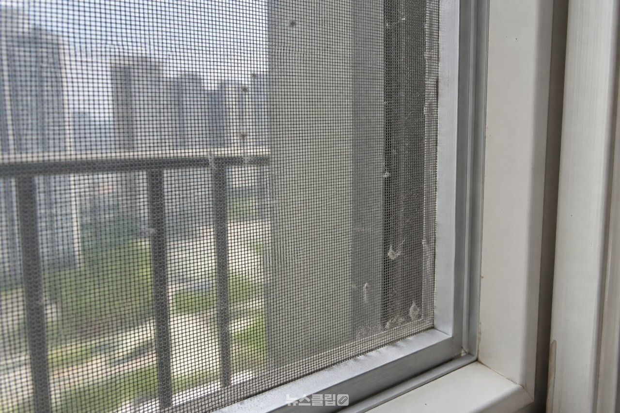 방충망 사이와 가장자리에 붙은 먼지 / 기사 이해를 돕기 위한 생성형 이미지