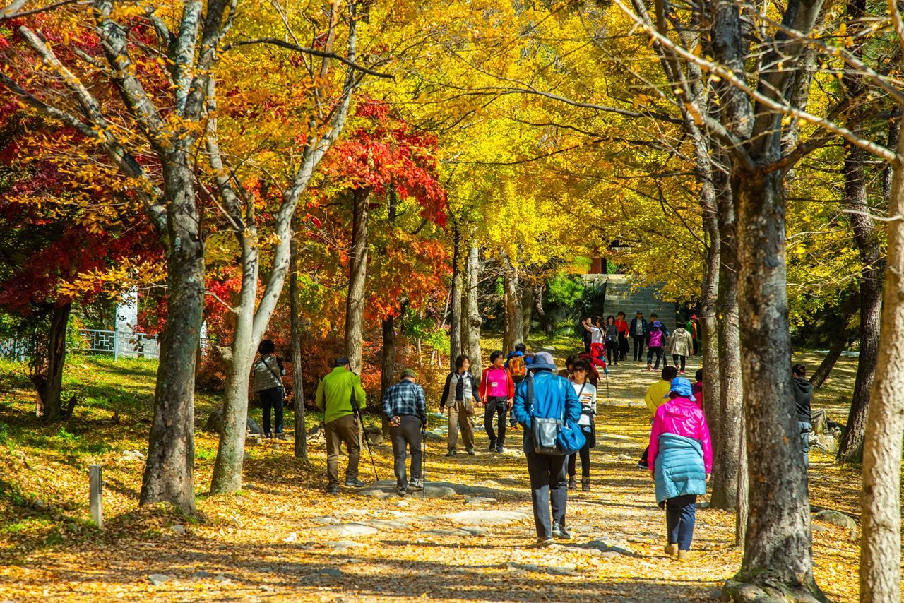 부석사 / 한국관광공사-라이브스튜디오