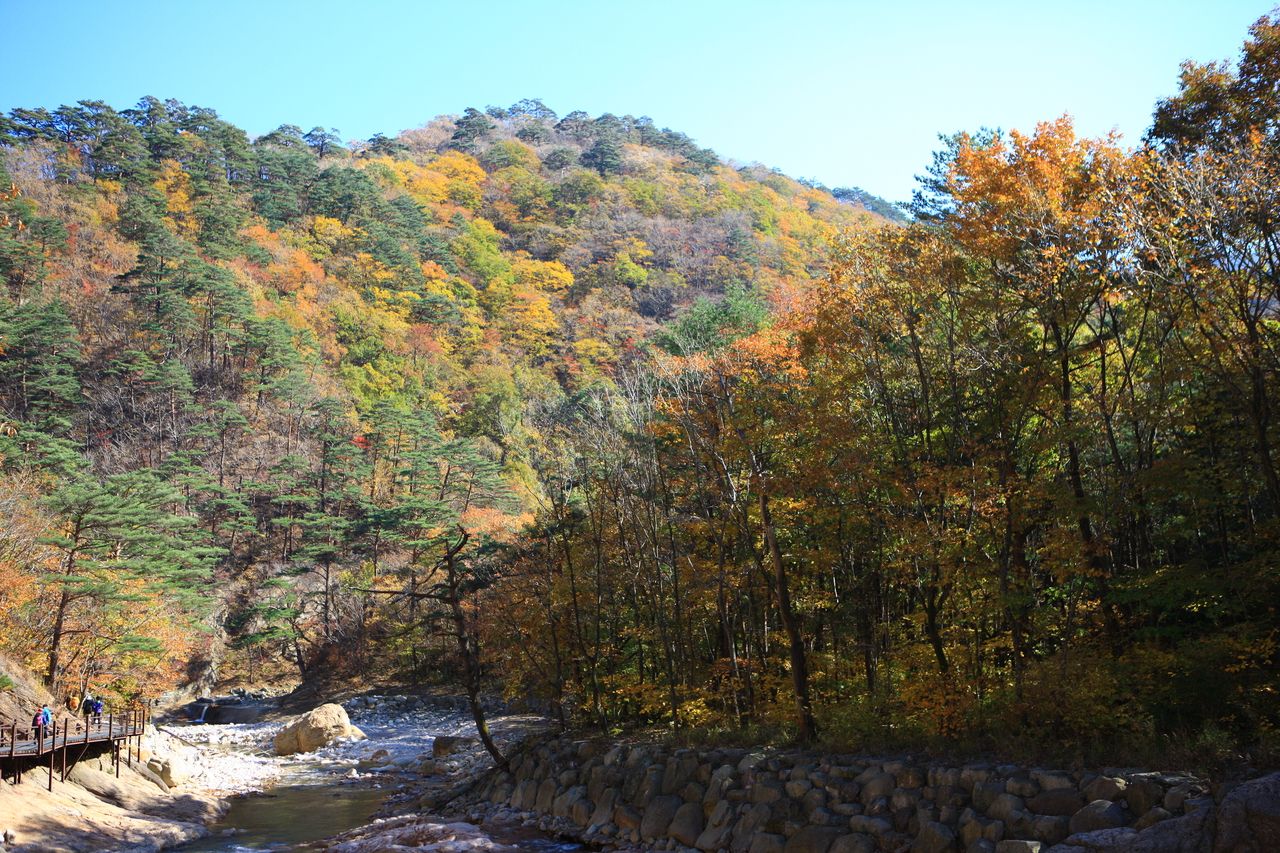 설악산국립공원 / 한국관광공사-김지호