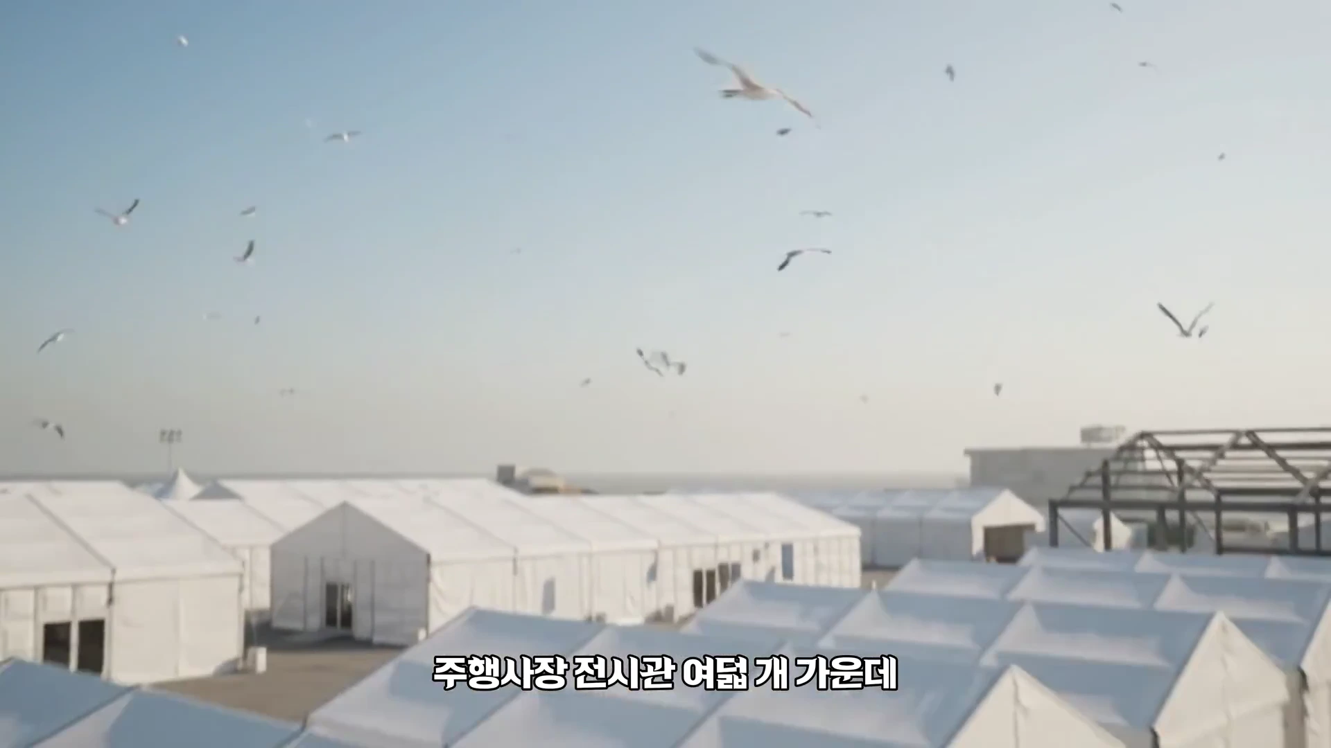 푸른 하늘 아래 줄지어 서 있는 흰색의 임시 전시관 텐트들과 그 위를 날아다니는 새들.
