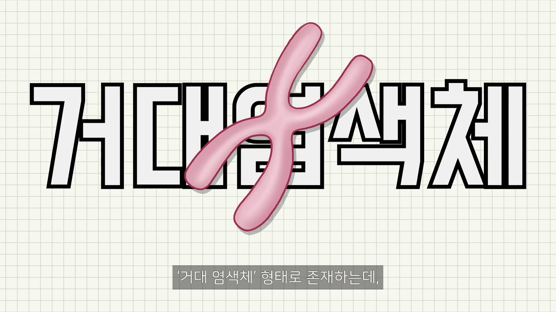 격자무늬 배경 위에 분홍색 염색체 모양의 그래픽과 함께 '거대염색체'라는 글자가 크게 적혀 있고 하단에 작은 자막이 있는 화면