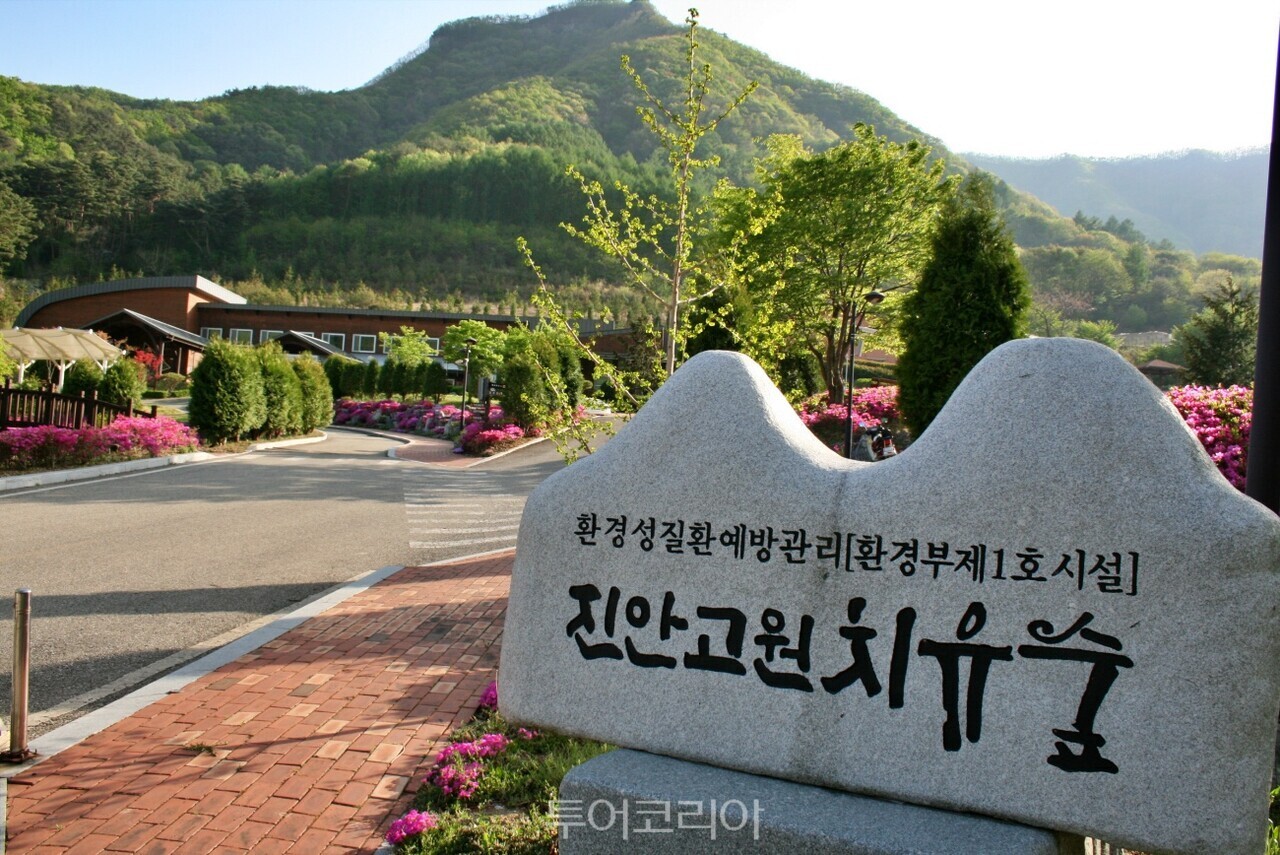  진안고원 치유숲 /사진-투어코리아
