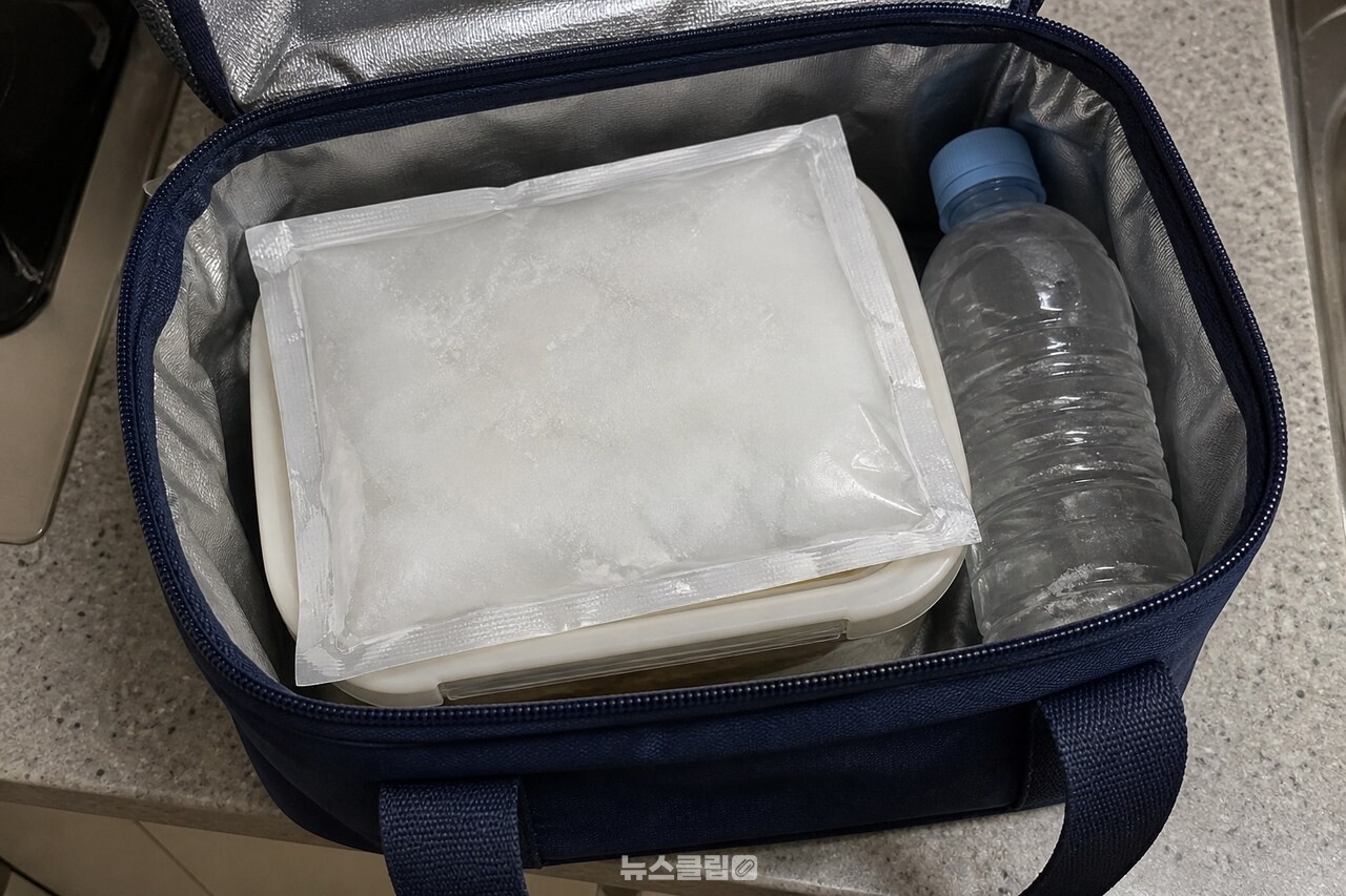보냉가방에 함께 넣은 얼린 아이스팩 / 기사 이해를 돕기 위한 생성형 이미지