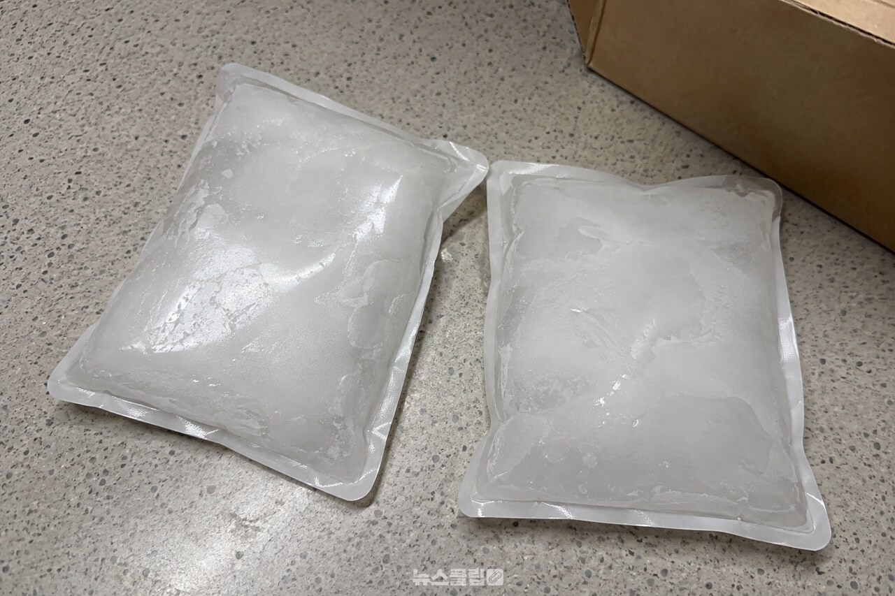 택배 정리 후 남은 아이스팩 / 기사 이해를 돕기 위한 생성형 이미지
