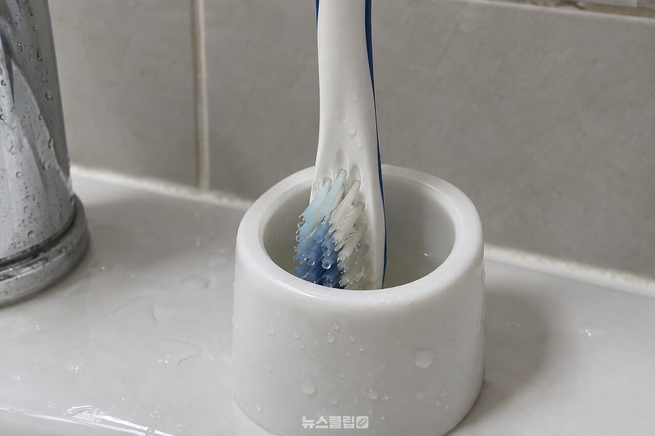 칫솔모 뿌리에 물방울이 남아 있는 칫솔 거치 모습 / 기사 이해를 돕기 위한 생성형 이미지