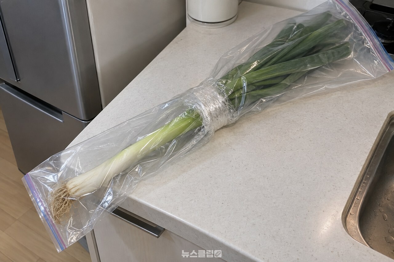 지퍼백 두 장을 겹쳐 긴 대파를 넣고 연결 부위를 랩으로 감싼 모습 / 기사 이해를 돕기 위한 생성형 이미지