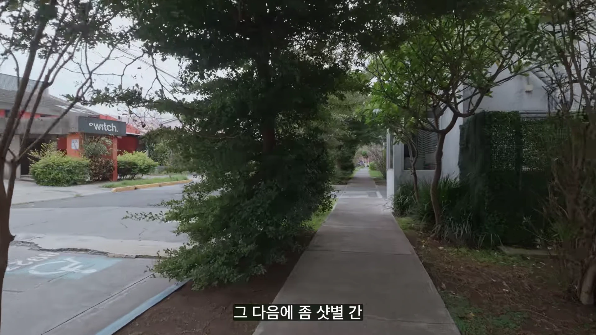나무들이 줄지어 서 있고 인도가 이어지는 한적한 낮 시간의 야외 거리 풍경 영상 화면