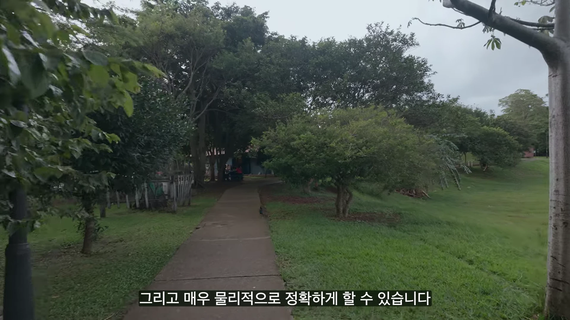 코스타리카의 녹음이 우거진 야외 공원 길을 보여주는 영상 프레임