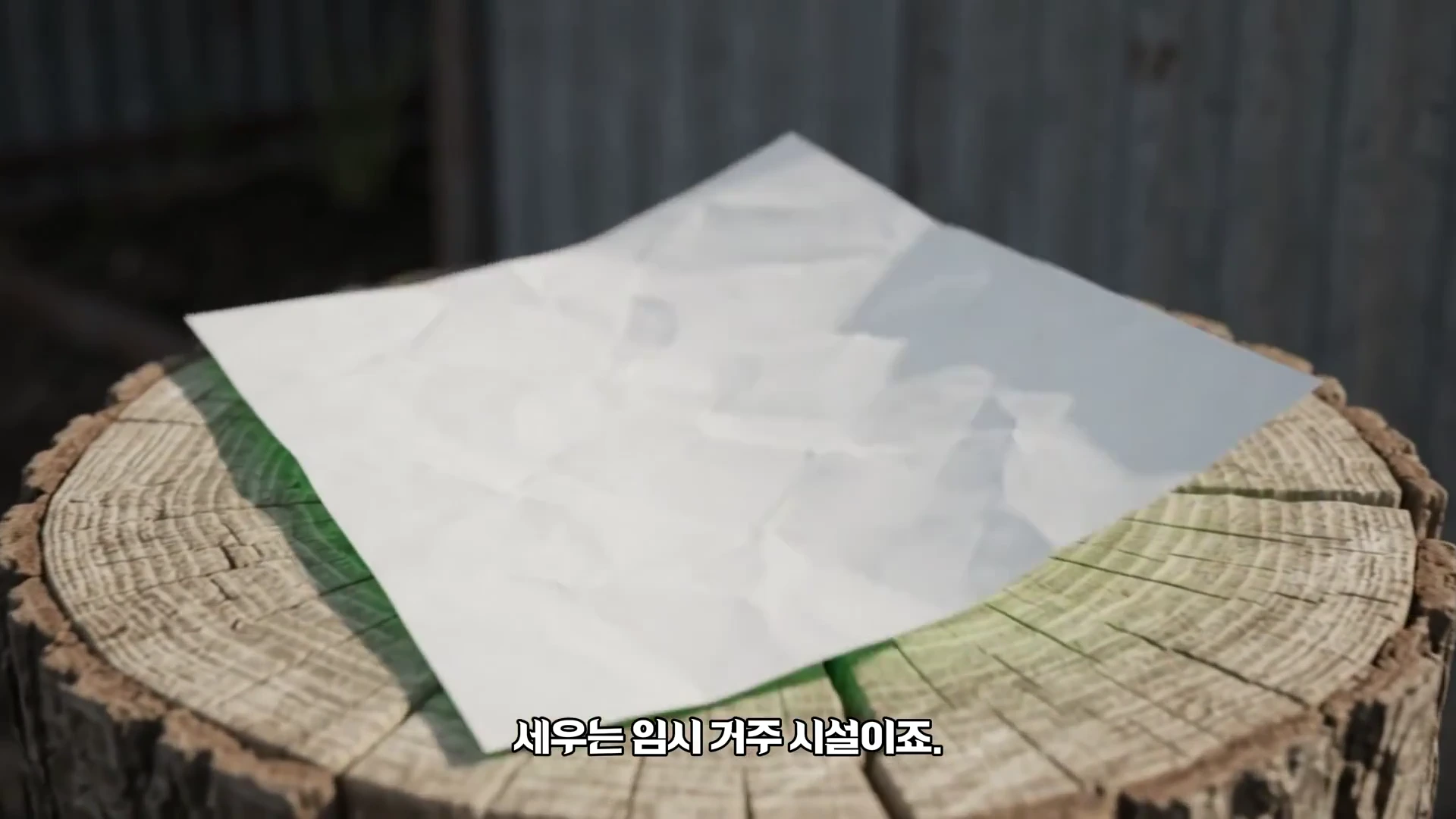 나무 그루터기 위에 놓인 하얀 종이 한 장과 그 아래 '세우는 임시 거주 시설이죠.'라는 자막이 있는 영상 프레임입니다.