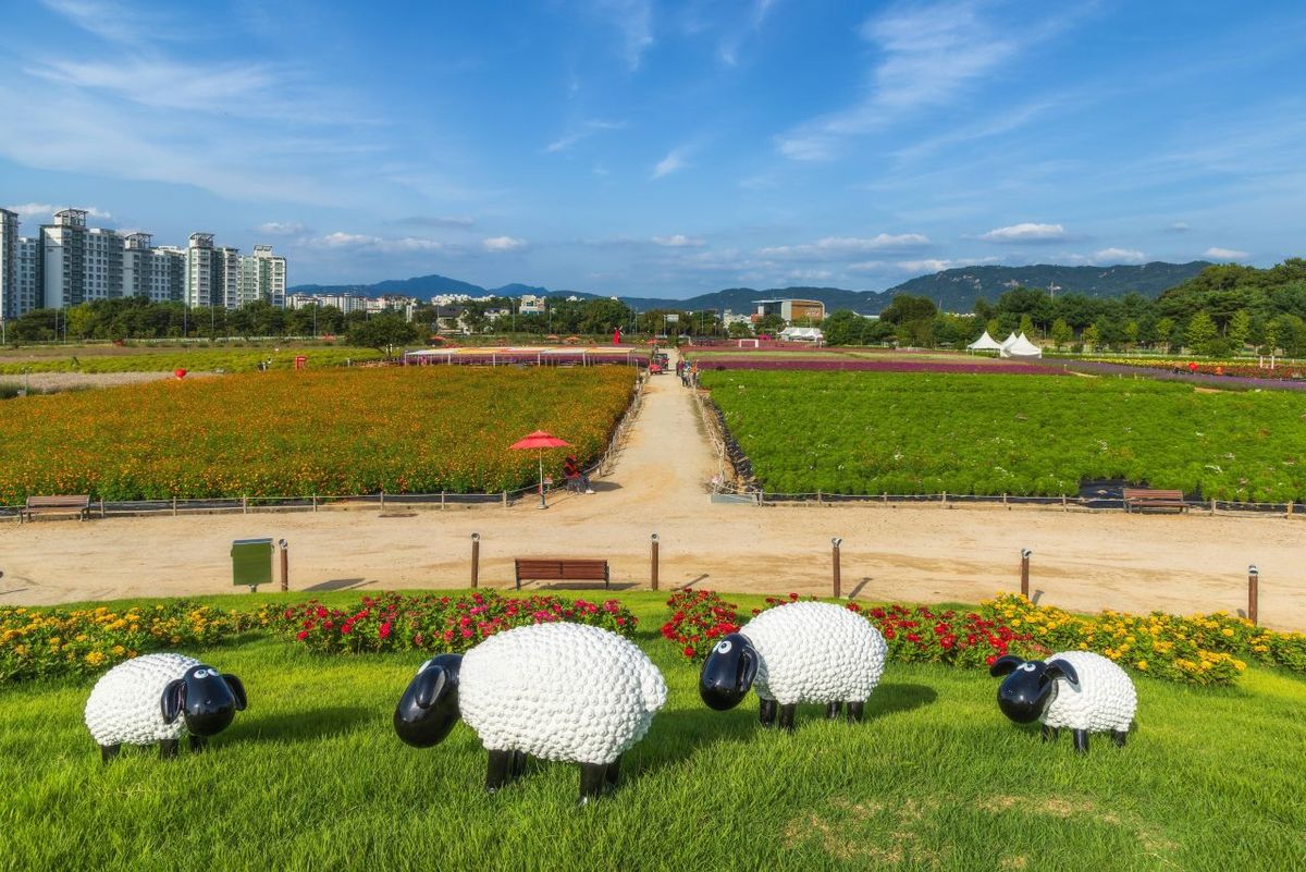 나리농원 / 한국관광공사-정규진