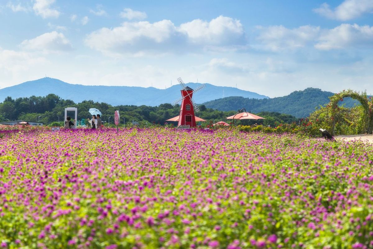 나리농원 / 한국관광공사-정규진