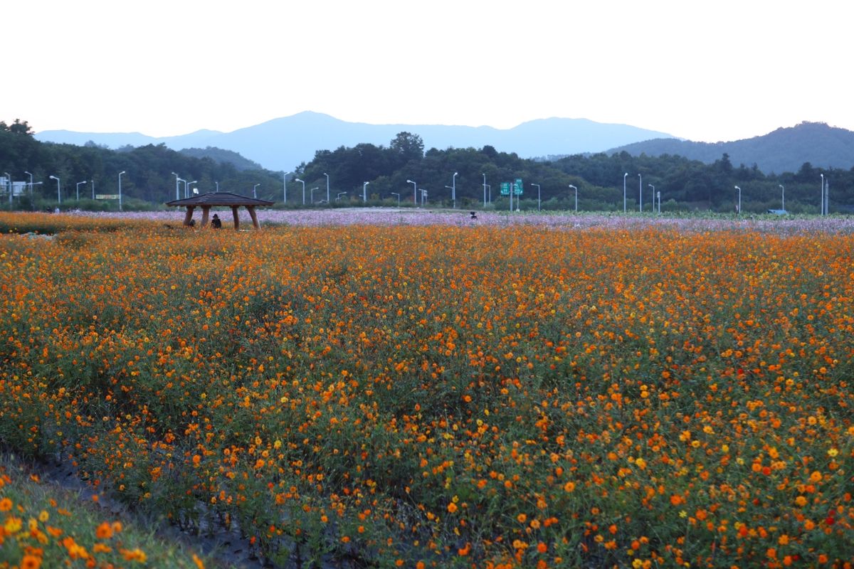 나리농원 / 한국관광공사-이범수