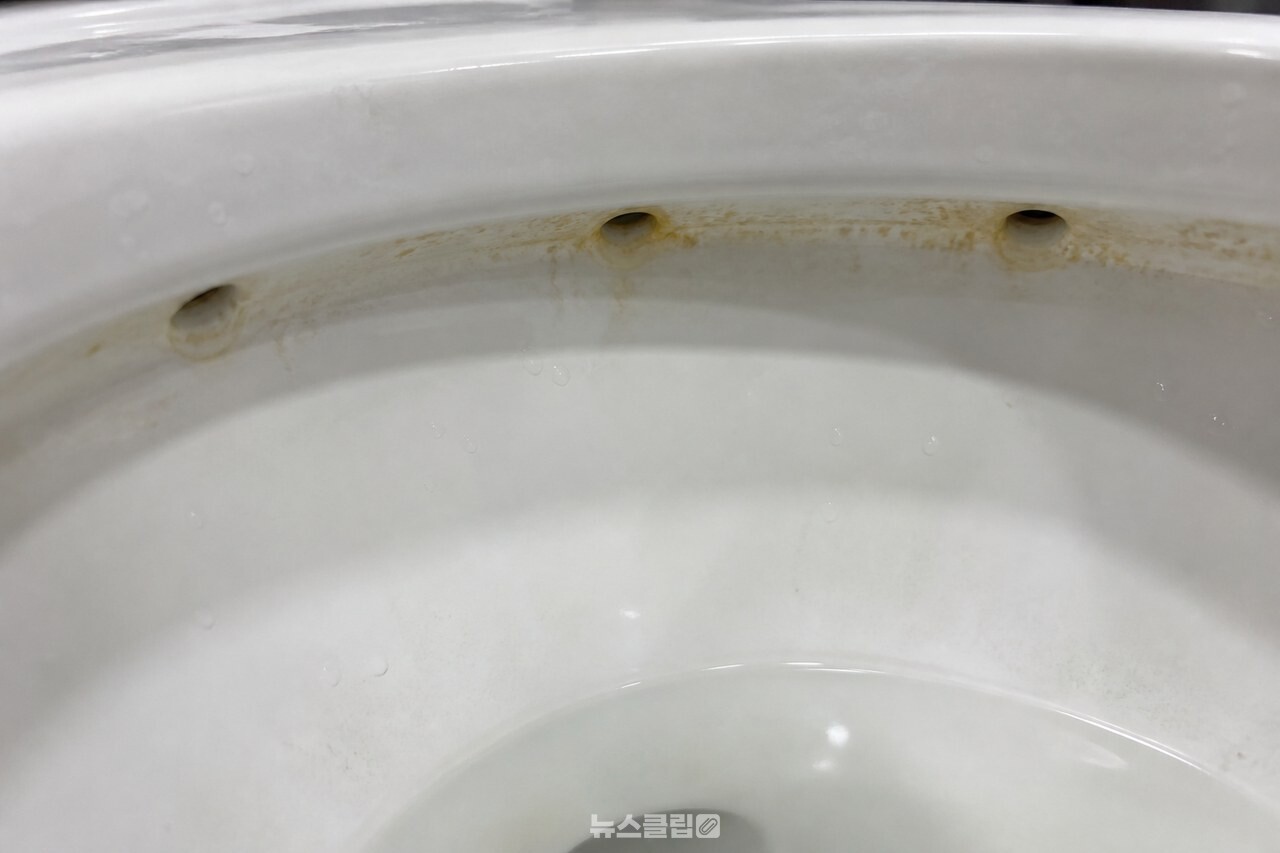 솔이 닿기 어려운 변기 테두리 안쪽과 물 나오는 구멍 주변의 누런 자국 / 기사 이해를 돕기 위한 생성형 이미지