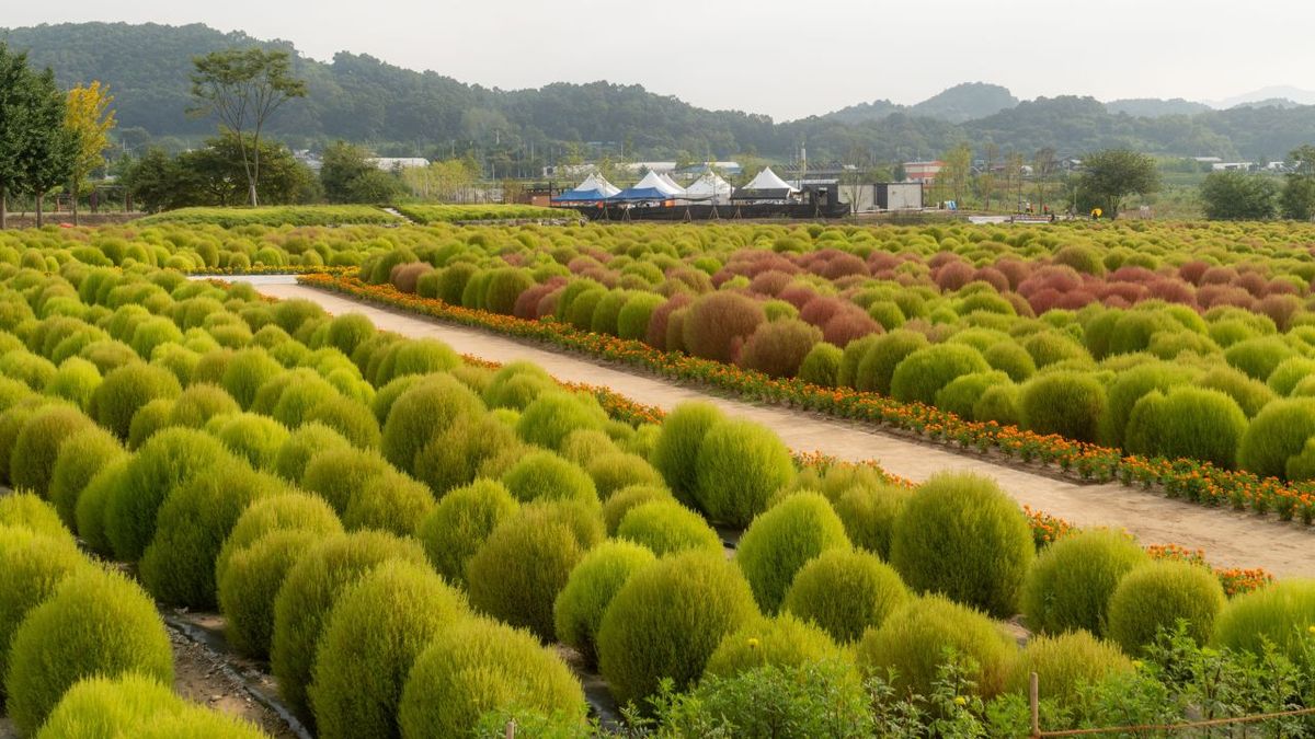 임진강 댑싸리공원 / 한국관광공사-임태진