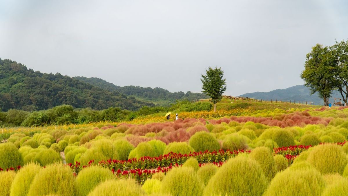 임진강 댑싸리공원 / 한국관광공사-임태진