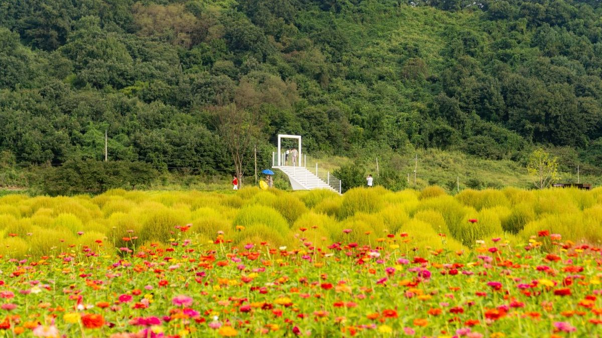 임진강 댑싸리공원 / 한국관광공사-임태진