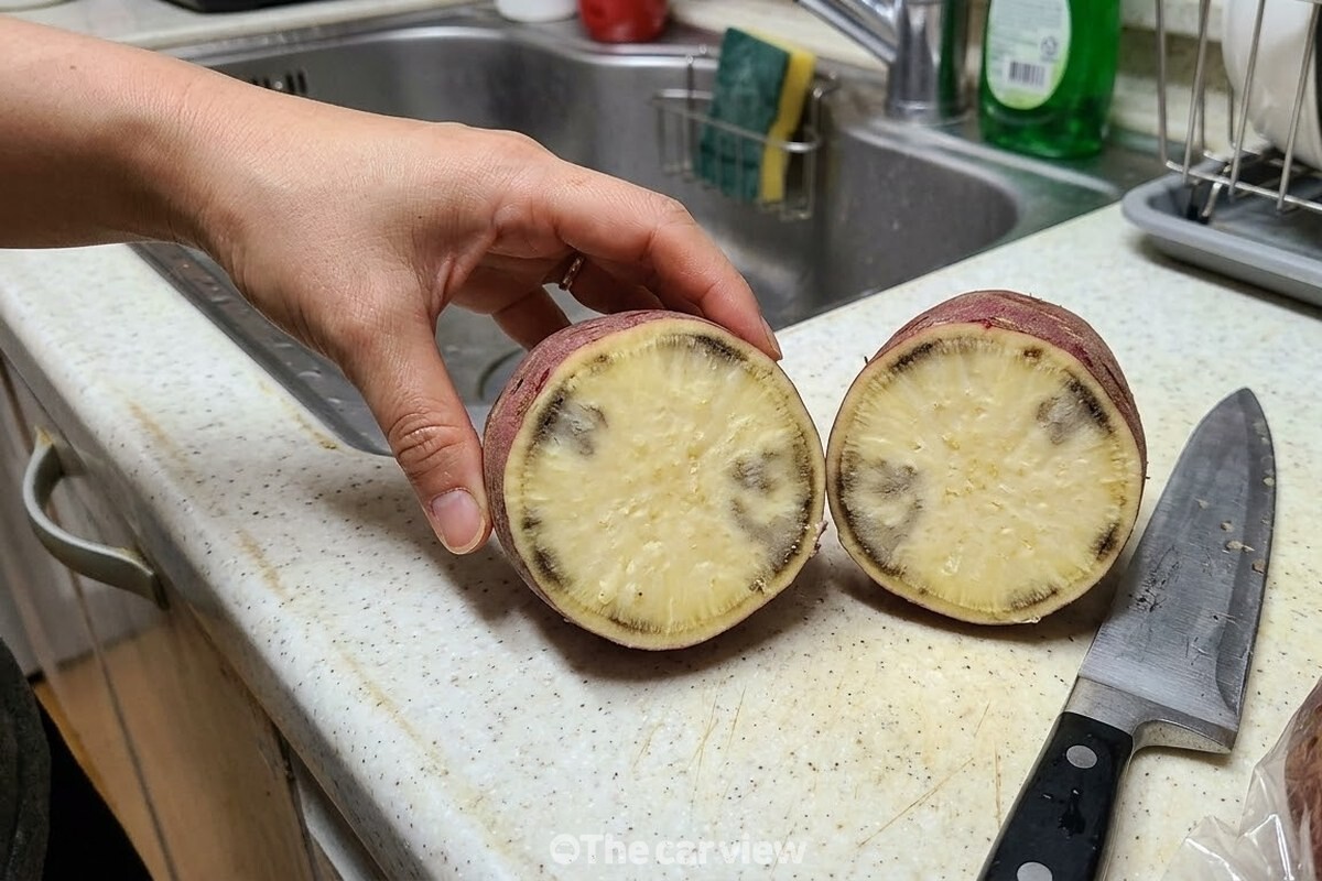 냉장실 채소 칸에 오래 둔 고구마를 반으로 잘라 속살에 거뭇한 색이 도는 상태를 확인하는 모습. / 기사 이해를 돕기 위한 생성형 이미지