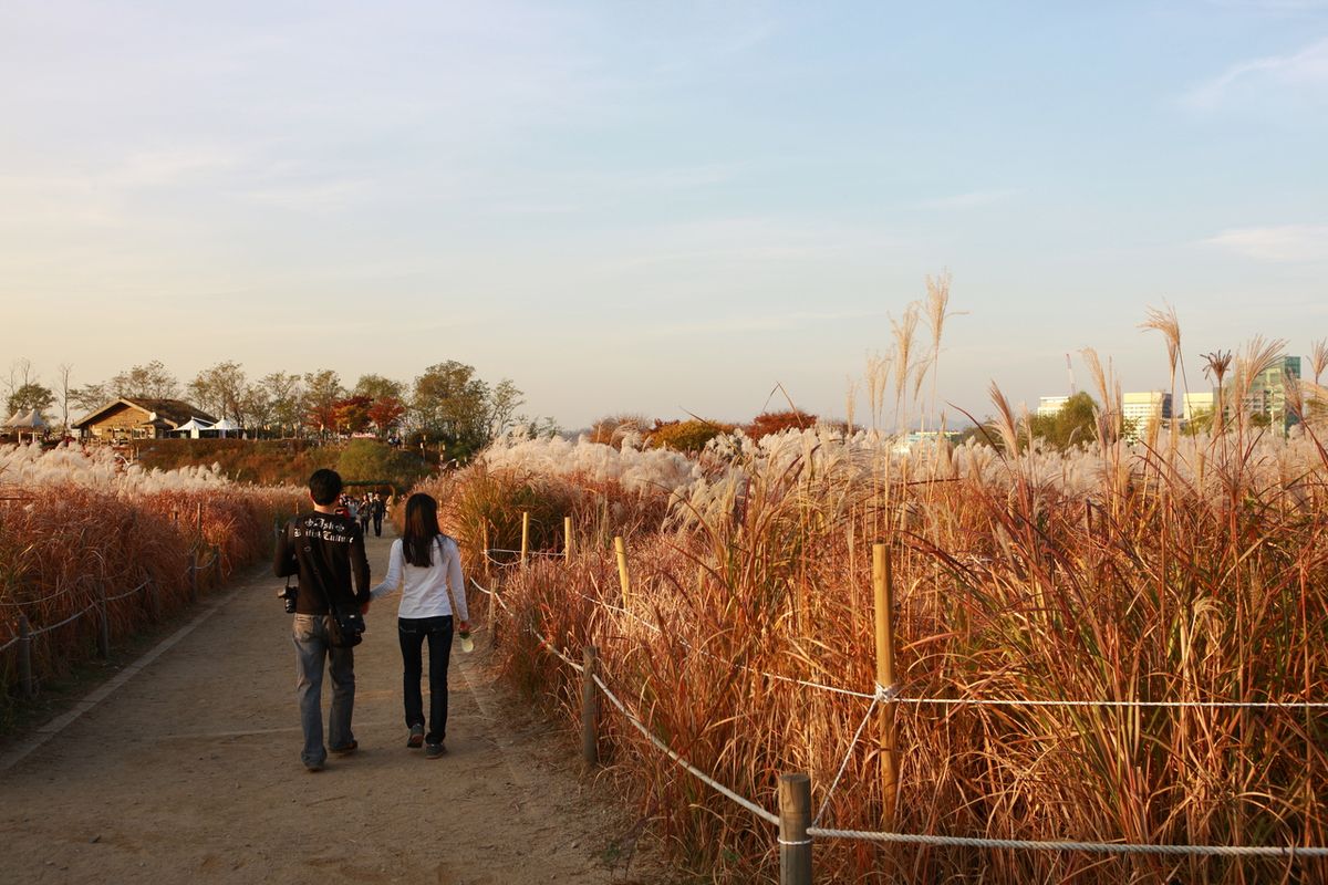 하늘공원 / 한국관광공사-김지호