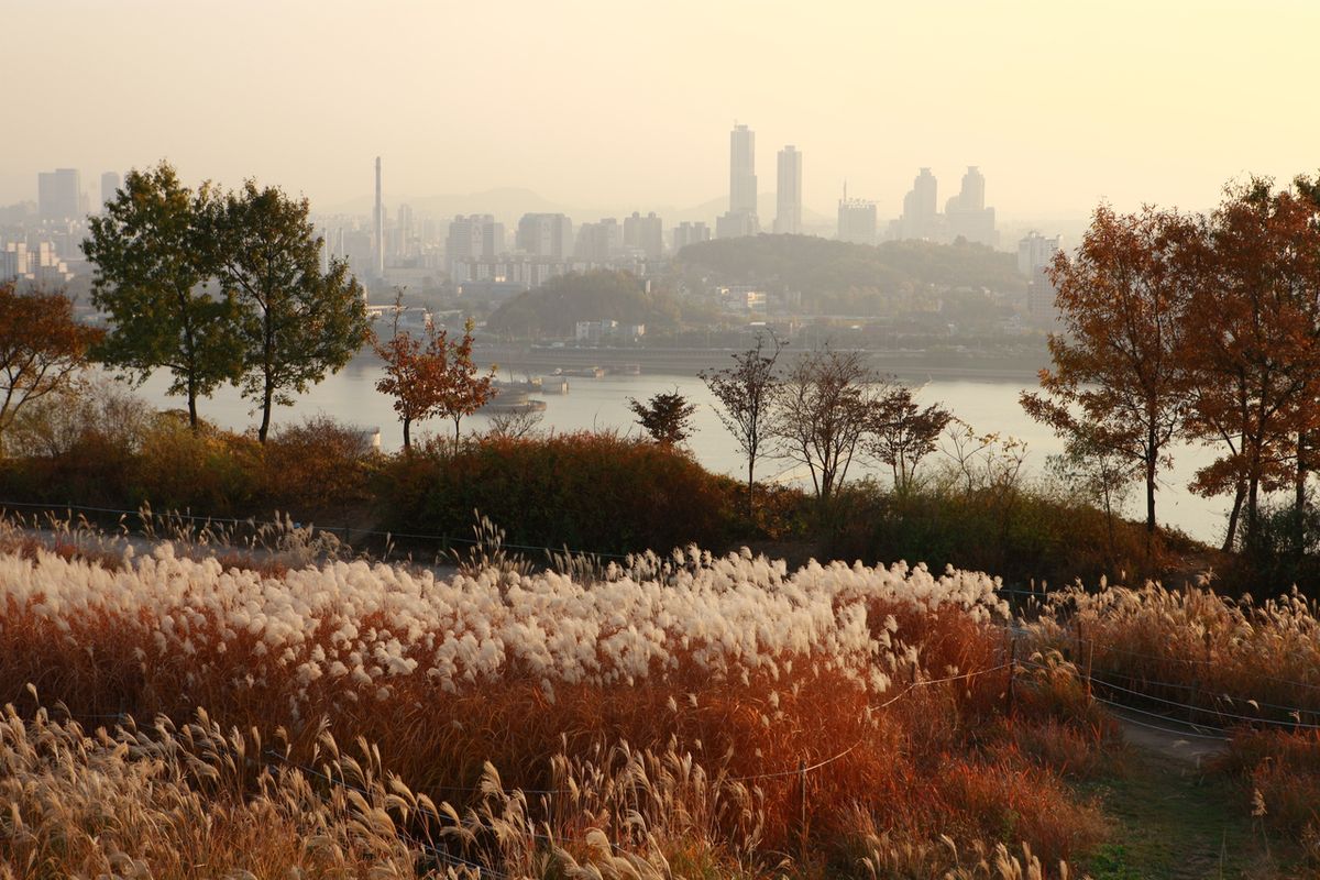 하늘공원 / 한국관광공사-김지호