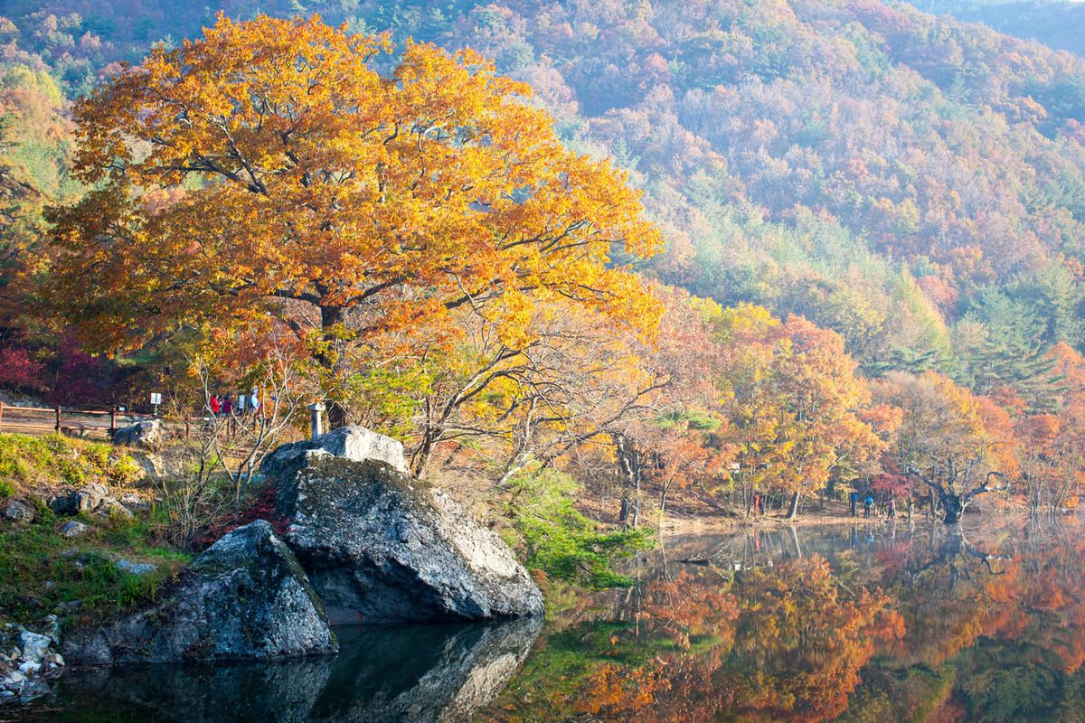 주산지 / 한국관광공사-김지호