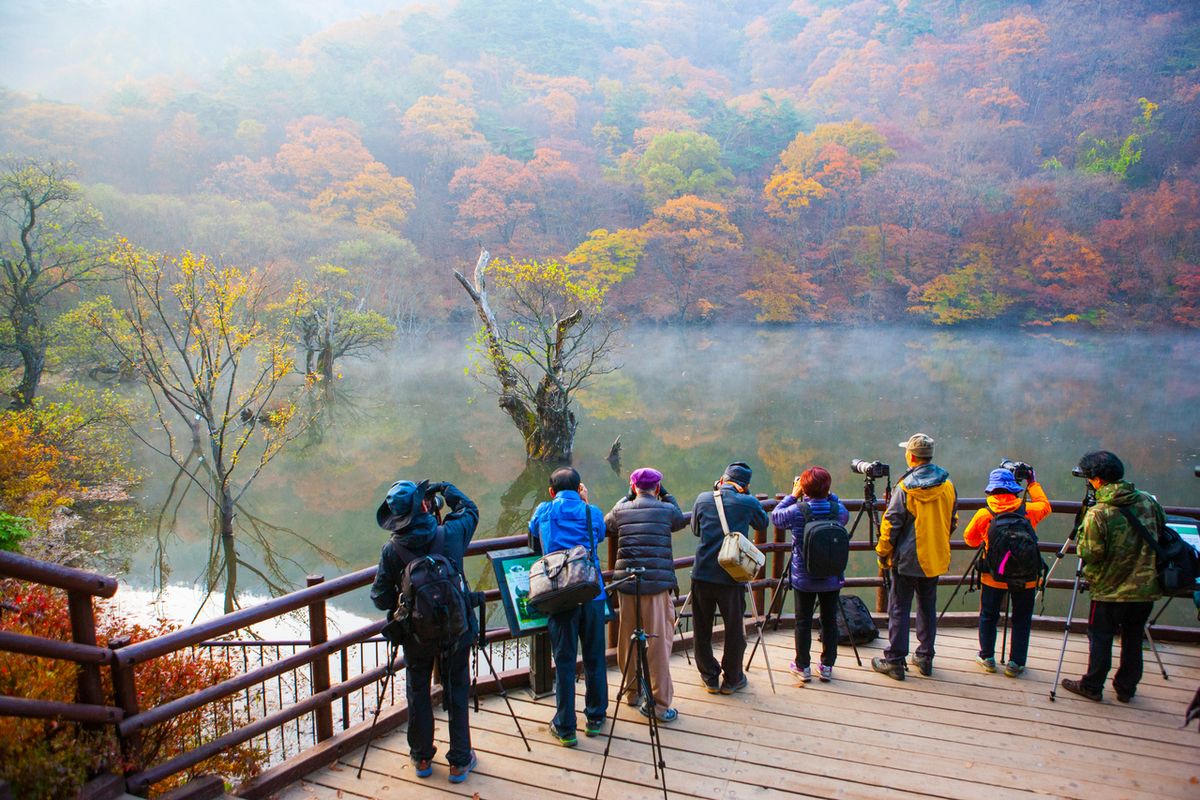 주산지 / 한국관광공사-김지호
