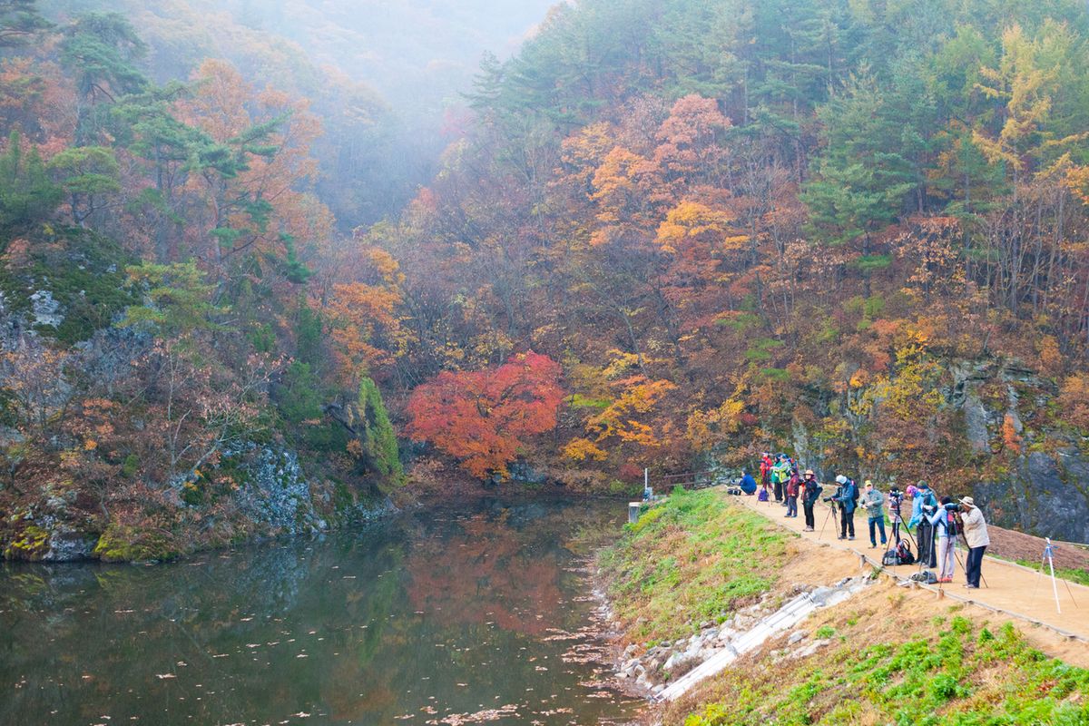 주산지 / 한국관광공사-김지호