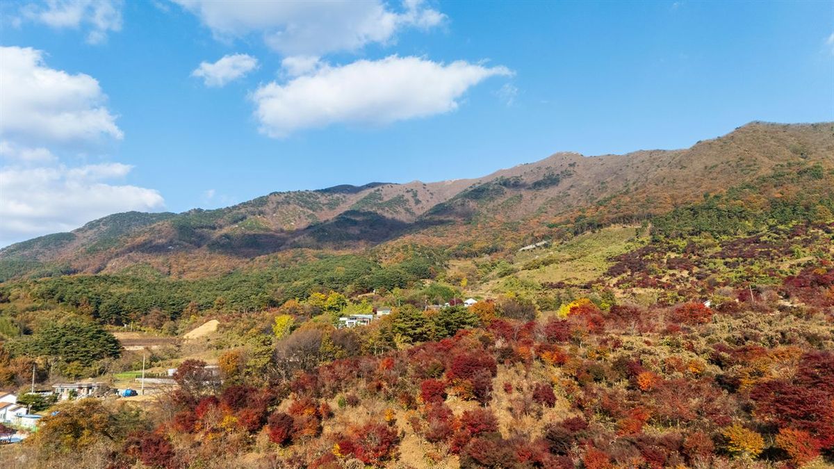 오서산 / 한국관광공사-김석태