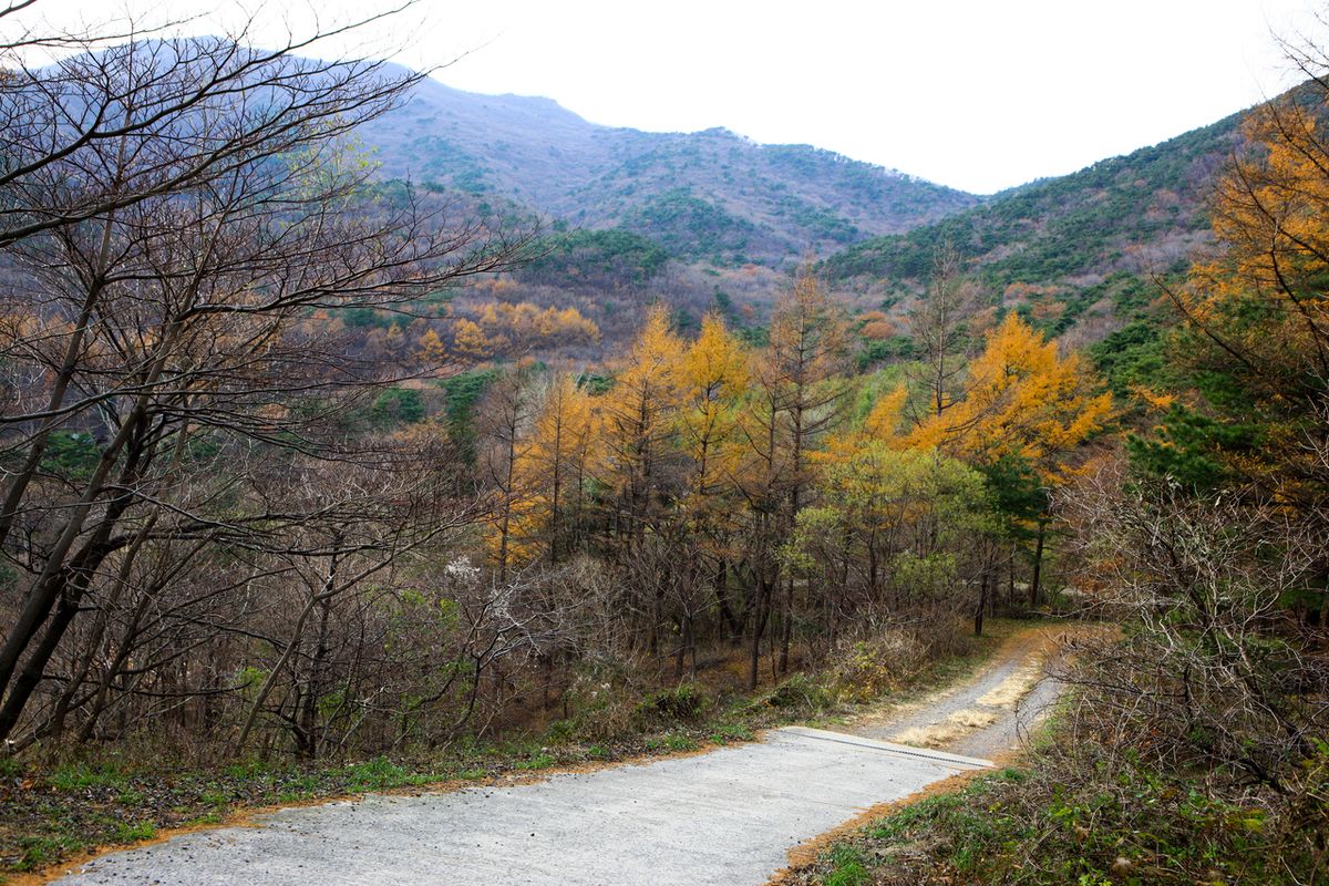 오서산자연휴양림 / 한국관광공사-김지호